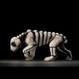 Apologia X Deprerreo: La Perruqueria | L'Miranda + Candadismo + bichigyalli Sabado 13 Diciembre 2025