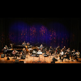 Barcelona Art Orchestra Sabado 29 Noviembre 2025
