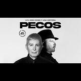 Pecos Domingo 28 Diciembre 2025