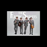 Tributo a The Beatles con The Flaming Shakers Viernes 24 Mayo 2024