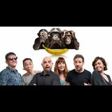 Bonobos Sabado 1 y Domingo 2 Junio 2024