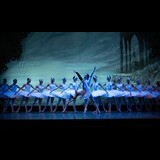 El lago de los cisnes Sabado 24 Enero 2026