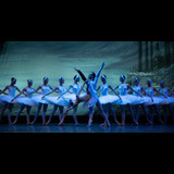 El lago de los Cisnes - Ballet de Kiev Del Miercoles 17 Julio al Domingo 28 Julio 2024