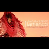 Naturalmente Flamenco - Ballet Flamenco de Andalucía Sabado 1 y Domingo 2 Junio 2024