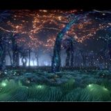 PG Symphony Del Lunes 11 Agosto al Viernes 15 Agosto 2025