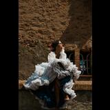 De color flamenco Del Dilluns 8 Desembre al Diumenge 14 Desembre 2025