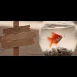 EL ÚLTIMO TRIBUTO Divendres 9 Gener 2026