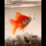 El Último Tributo | Tribut a El último de la Fila Divendres 9 Gener 2026