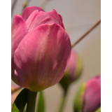 Mar Plaza + Andrea Morata | Xup-Xup Sound Dijous 4 Desembre 2025