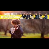 NOU TAST: CONCERT PER A VIOLÍ DE BRAHMS Dissabte 30 Maig 2026