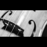 Octets de corda Dijous 23 Octubre 2025