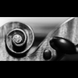 Quartet de corda Dijous 18 Desembre 2025