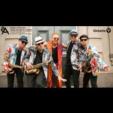 Shuffle Demons Dissabte 8 Novembre 2025 Shuffle Demons Dissabte 8 Novembre 2025