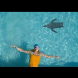 Com els pingüins Del Dissabte 28 Febrer al Diumenge 8 Març 2026