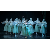 Giselle Del Dimarts 21 Octubre al Diumenge 26 Octubre 2025 Giselle Del Dimarts 21 Octubre al Diumenge 26 Octubre 2025
