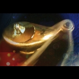 LA NIT DELS GENIS Dissabte 17 Gener 2026