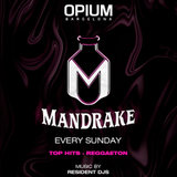 Domingo - Mandrake - Opium Barcelona Sunday 12 May 2024
