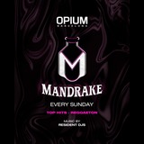 Mandrake Sunday 12 May 2024