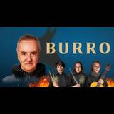 Burro From Wednesday 8 May to Sunday 2 June 2024