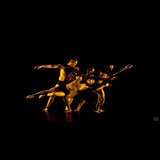 Pilobolus re: Creation From Tuesday 30 April to Thursday 2 May 2024
